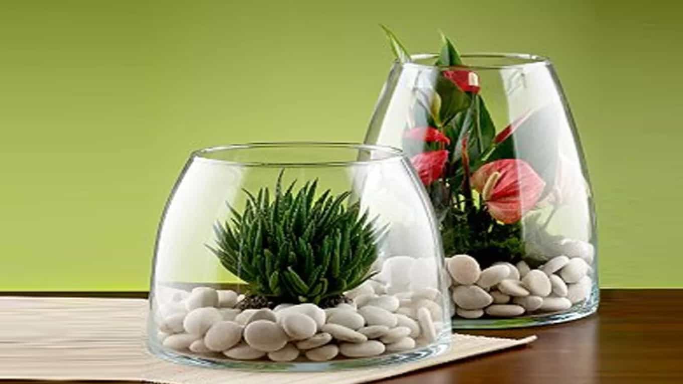 تراریوم